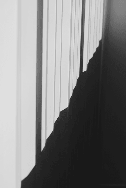 _MG_0307 1.png